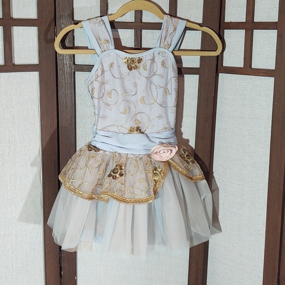 Weissman Lead The Way Sequin Embroidered Dance Dress tutu ballet 13466 Sz IC